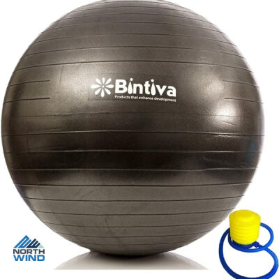 North Wind Printed - Exercise Ball Small Thumbnail